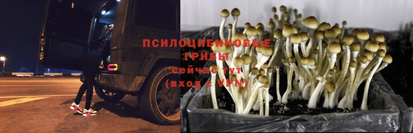 меф Арсеньев