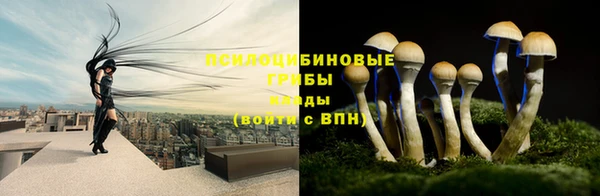 ПСИЛОЦИБИНОВЫЕ ГРИБЫ Лихославль