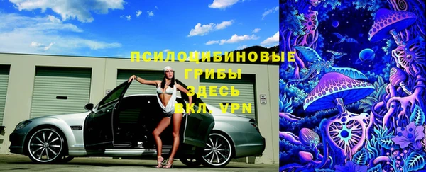 меф Арсеньев