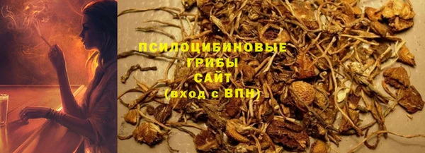 меф Арсеньев