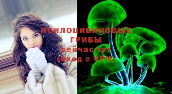 меф Арсеньев